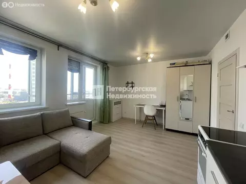 Квартира-студия: Санкт-Петербург, Парашютная улица, 42к2 (24.7 м)