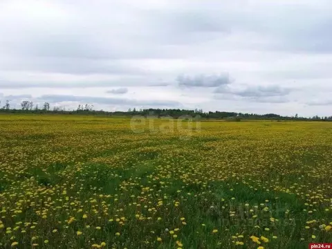 Участок в Кировская область, Кирово-Чепецкий район, Кстининское с/пос, ...