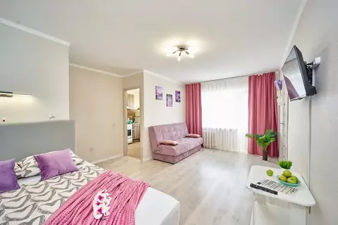 Студия Пермский край, Пермь ул. Революции, 26 (55.0 м)