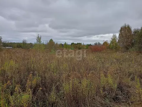 Участок в Брянская область, Брянский район, Мичуринское с/пос, Заря ...
