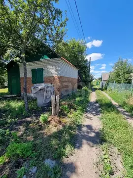 Дом в Тамбовская область, Тамбов Медик СНТ, 86 (30 м)