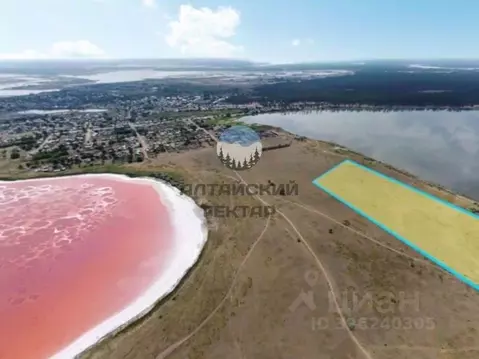 Участок в Алтайский край, Михайловский район, Малиновое Озеро рп  ...