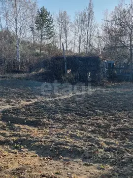 Участок в Амурская область, Благовещенский район, Скальпель СТ  (7.46 ...