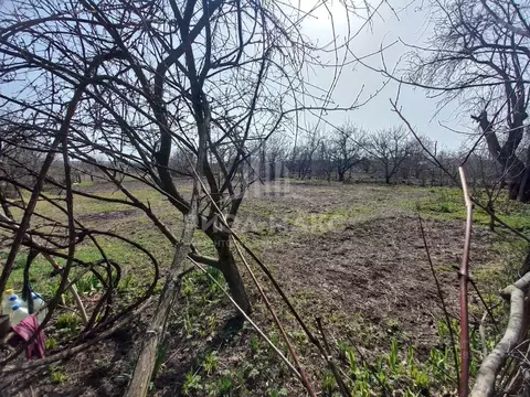 Участок в Брянская область, Брянский район, Супоневское с/пос, с. ...