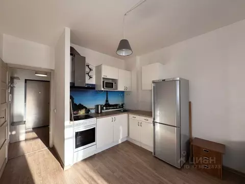 Студия Санкт-Петербург ул. Адмирала Черокова, 20 (24.0 м)