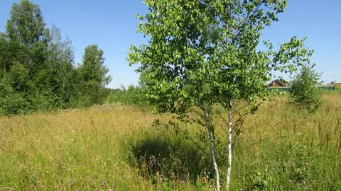 Участок в Московская область, Рузский муниципальный округ, д. ...