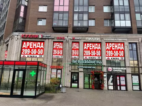 Помещение свободного назначения в Санкт-Петербург Коломяжский просп., ...