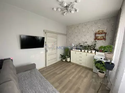 1-к кв. Нижегородская область, Богородский муниципальный округ, с. ...