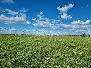 Участок в Саратовская область, Балашовский район, Хоперское ...