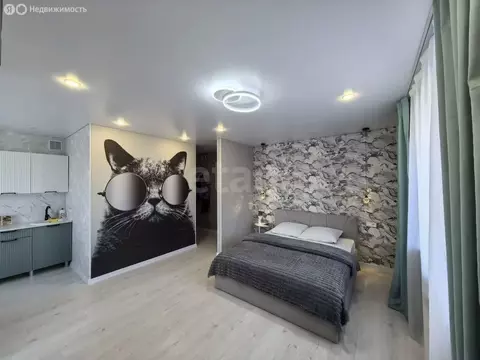 1-комнатная квартира: Бийск, Красноармейская улица, 45 (30.4 м)