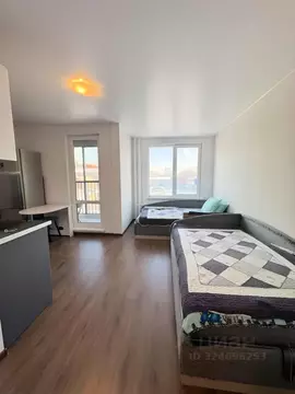 Студия Санкт-Петербург ул. Федора Котанова, 13к1 (26.0 м)