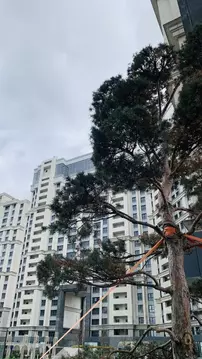 1-к кв. Краснодарский край, Краснодар Школьный мкр, ул. Школьная, 1 ...