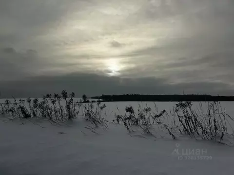 Участок в Московская область, Ступино городской округ, д. Благовское  ...