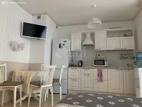 Квартира-студия: Санкт-Петербург, проспект Маршала Блюхера, 9к3 (23.7 ...