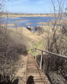 Участок в Саратовская область, Энгельсский район, Терновское ...
