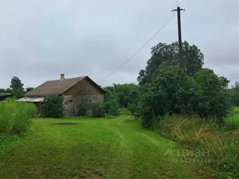 Дом в Псковская область, Опочецкий муниципальный округ, д. Большие ...