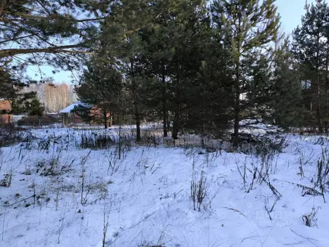 Участок в Московская область, Раменский муниципальный округ, Лесная ...