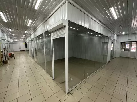 Торговая площадь в Иркутская область, Иркутск ул. Березовая Роща, 3Б/1 ...