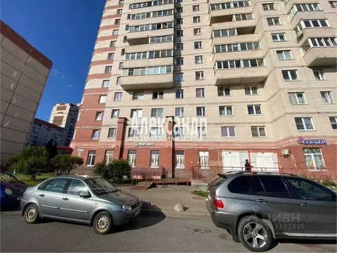 Торговая площадь в Санкт-Петербург Караваевская ул., 28к1 (72 м)