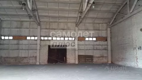 Склад в Новосибирская область, Новосибирск Толмачевская ул., 33/1 (750 ...