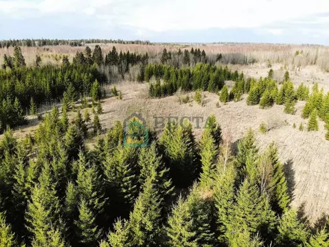 Участок в Ленинградская область, Гатчинский муниципальный округ, ...