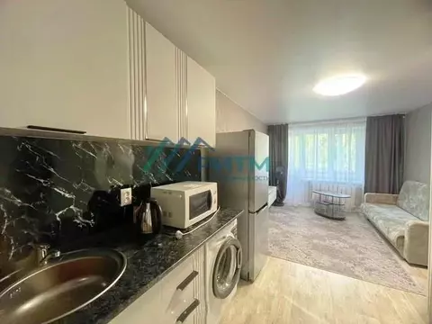 Студия Пензенская область, Пенза ул. Попова, 8А (18.0 м)