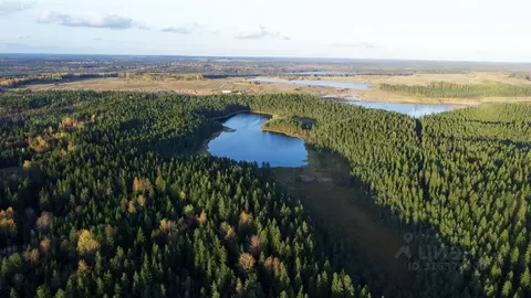 Участок в Ленинградская область, Выборгский район, Первомайское с/пос, ...