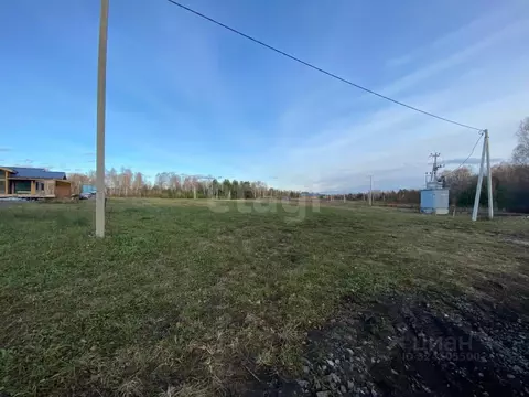 Участок в Красноярский край, Емельяновский муниципальный округ, Яснгор ...