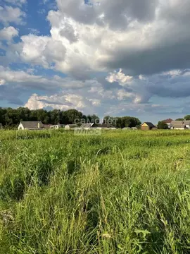 Участок в Брянская область, Брянский район, Отрадненское с/пос, с. ...