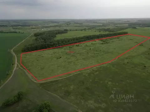 Участок в Тульская область, Заокский район, Демидовское с/пос, с. ...