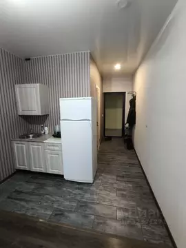 Студия Нижегородская область, Нижний Новгород д. Афонино, ул. Красная ...