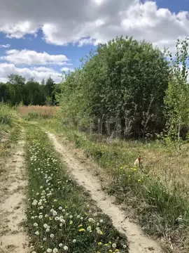 Участок в Тюменская область, Нижнетавдинский муниципальный округ, ...