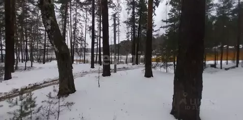 Участок в Нижегородская область, Навашинский муниципальный округ, с. ...