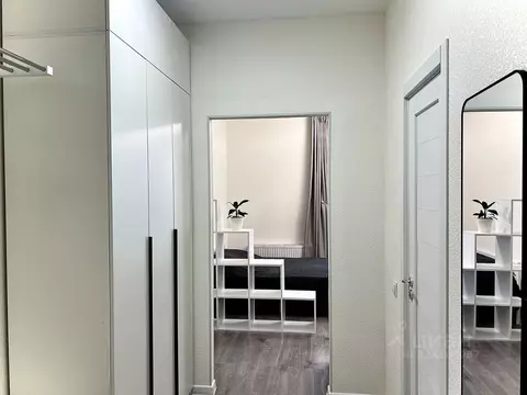 Студия Санкт-Петербург пос. Парголово, дор. Михайловская, 6 (29.0 м)