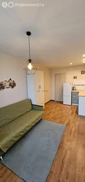 Квартира-студия: Зубово, улица Бориса Перина, 1 (20.2 м)