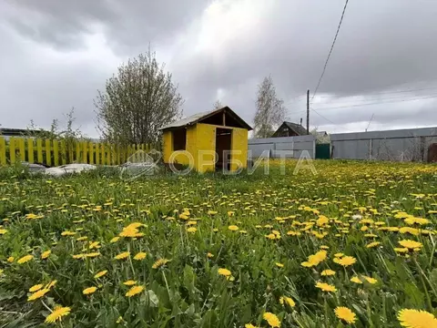 Участок в Тюменская область, Тюмень Меридиан СНТ, ул. Садовая (6.0 ...