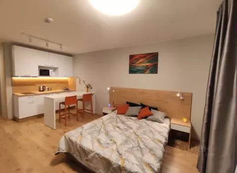 Студия Санкт-Петербург пос. Парголово, проезд Толубеевский, 8к2 (29.2 ...