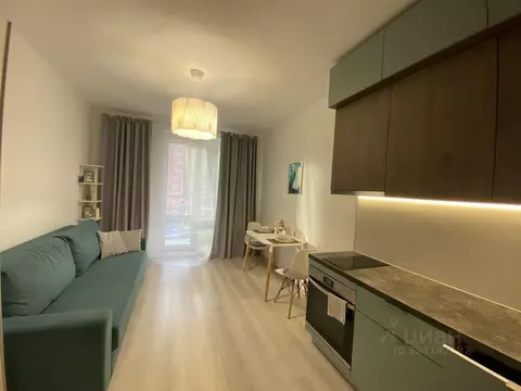 Студия Санкт-Петербург аллея Арцеуловская, 21 (24.9 м)