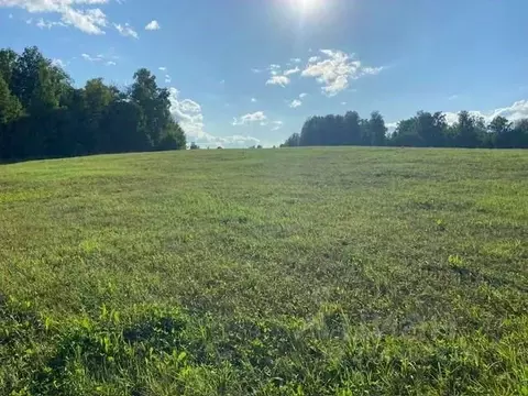 Участок в Томская область, Томский район, с. Корнилово  (12.0 сот.)