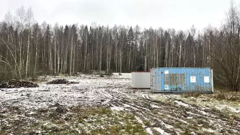 Участок в Московская область, Пушкинский городской округ, с. Ельдигино ...