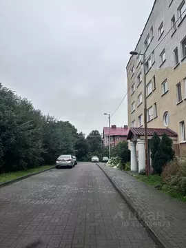 Студия Калининградская область, Калининград Товарная ул., 1А (27.4 м)