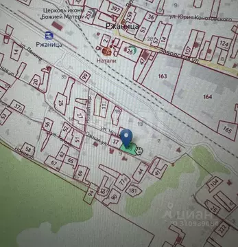 Участок в Брянская область, Жуковский муниципальный округ, с. Ржаница ...