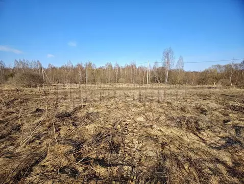 Участок в Смоленская область, Смоленск пос. Подснежники,  (10.0 сот.)