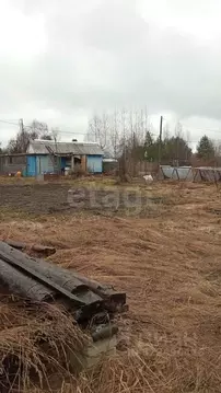 Участок в Вологодская область, Дубрава садоводческое товарищество  ...