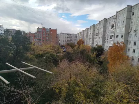 1-к кв. Красноярский край, Красноярск ул. Сурикова, 53 (34.0 м)