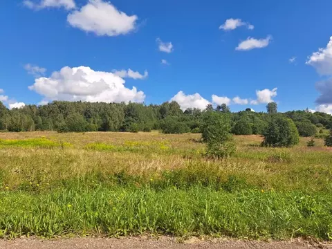 Участок в Московская область, Солнечногорск городской округ, ...