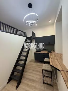 Студия Санкт-Петербург Клинский просп., 21 (22.0 м)