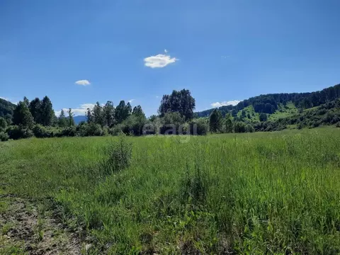 Участок в Алтайский край, Алтайский район, с. Куяган  (34800.0 сот.)