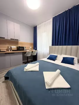 Студия Москва ул. Костякова, 7/7 (18.0 м)