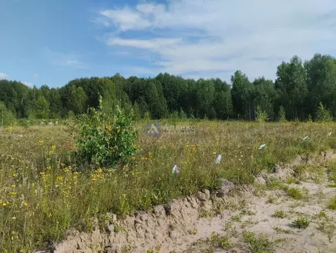 Участок в Тюменская область, Нижнетавдинский район, Ключевское с/пос, ...